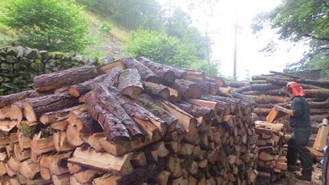 Norwegian Wood...